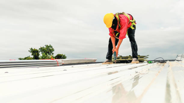 Reliable Andalusia, IL Roofing Services Solutions